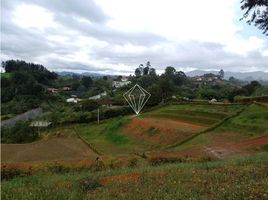  Land for sale in El Carmen De Viboral, Antioquia, El Carmen De Viboral