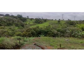  Land for sale in Popayan, Cauca, Popayan