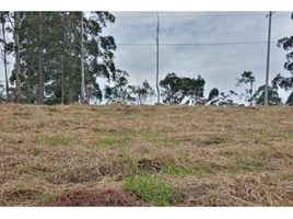  Land for sale in Popayan, Cauca, Popayan