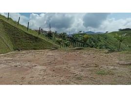  Land for sale in Penol, Antioquia, Penol