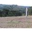  Land for sale in Totoro, Cauca, Totoro