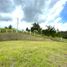  Land for sale in Totoro, Cauca, Totoro