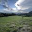 Terrain à vendre à Rionegro, Antioquia, Rionegro