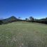 Terrain à vendre à Rionegro, Antioquia, Rionegro