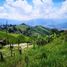 Terrain à vendre à Medellin, Antioquia, Medellin, Antioquia