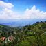 Terrain à vendre à Medellin, Antioquia, Medellin, Antioquia