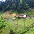 Terrain à vendre à Medellin, Antioquia, Medellin, Antioquia