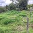  Land for sale in Popayan, Cauca, Popayan