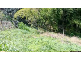  Land for sale in Cauca, Popayan, Cauca