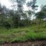  Land for sale in Popayan, Cauca, Popayan