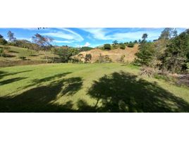  Land for sale in San Vicente, Antioquia, San Vicente