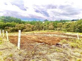  Terreno (Parcela) en venta en Cauca, Cajibio, Cauca