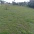  Land for sale in Totoro, Cauca, Totoro