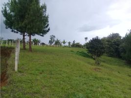  Land for sale in Totoro, Cauca, Totoro