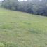  Land for sale in Totoro, Cauca, Totoro