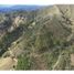 Terrain à vendre à La Ceja, Antioquia, La Ceja, Antioquia
