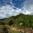 Terrain à vendre à La Ceja, Antioquia, La Ceja, Antioquia