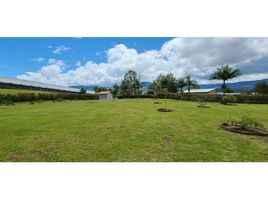  Land for sale in El Carmen De Viboral, Antioquia, El Carmen De Viboral