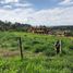  Land for sale in Cajibio, Cauca, Cajibio