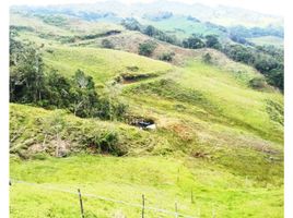 3 Habitación Casa en venta en El Carmen De Viboral, Antioquia, El Carmen De Viboral