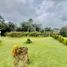 4 Bedroom Villa for sale in Quindio, Salento, Quindio