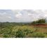  Land for sale in Cauca, Santander De Quilichao, Cauca