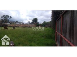  Terreno (Parcela) en venta en Chia, Cundinamarca, Chia