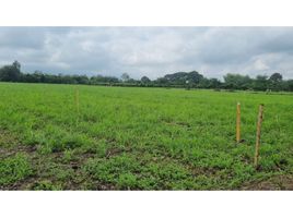  Land for sale in El Cerrito, Valle Del Cauca, El Cerrito