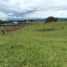  Land for sale in Timbio, Cauca, Timbio