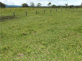  Land for sale in Timbio, Cauca, Timbio