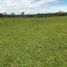  Land for sale in Timbio, Cauca, Timbio