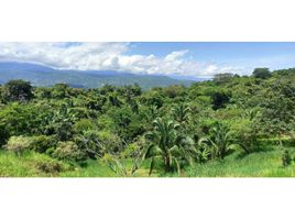 Terrain à vendre à La Mesa, Cundinamarca, La Mesa