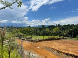  Land for sale in Cauca, Totoro, Cauca