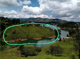  Terreno (Parcela) en venta en Penol, Antioquia, Penol