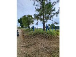  Land for sale in Cauca, Popayan, Cauca