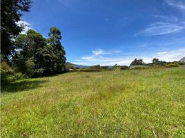  Terreno (Parcela) en venta en La Ceja, Antioquia, La Ceja