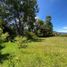  Terreno (Parcela) en venta en La Ceja, Antioquia, La Ceja