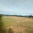  Land for sale in Rionegro, Antioquia, Rionegro