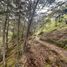  Land for sale in Rionegro, Antioquia, Rionegro