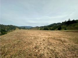  Land for sale in Rionegro, Antioquia, Rionegro