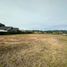  Land for sale in Rionegro, Antioquia, Rionegro