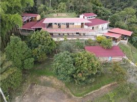 10 Bedroom House for sale in Quindio, Salento, Quindio