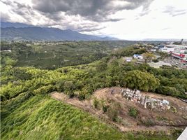  Land for sale in Salento, Quindio, Salento