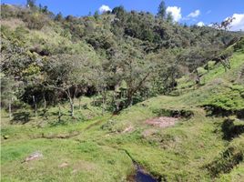 Grundstück zu verkaufen in Rionegro, Antioquia, Rionegro, Antioquia