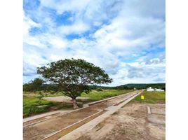  Land for sale in Atlantico, Tubara, Atlantico