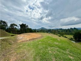  Terreno (Parcela) en venta en El Carmen De Viboral, Antioquia, El Carmen De Viboral