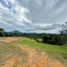  Terreno (Parcela) en venta en El Carmen De Viboral, Antioquia, El Carmen De Viboral