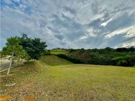  Terreno (Parcela) en venta en El Carmen De Viboral, Antioquia, El Carmen De Viboral