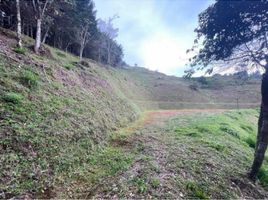  Terreno (Parcela) en venta en Bolivar, Turbana, Bolivar