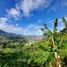  Terreno for sale in Espírito Santo, Ilha Trindade, Espírito Santo